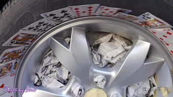 s6爆改炫色輪轂與車用床墊升級，生物技術開發服務的跨界融合